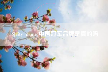 永春中国冠军品牌是真的吗