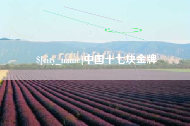 永春中国十七块金牌