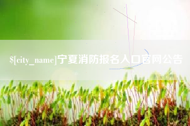 永春宁夏消防报名入口官网公告