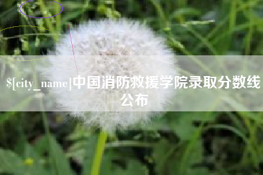 永春中国消防救援学院录取分数线公布