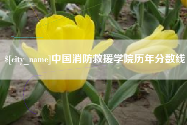 永春中国消防救援学院历年分数线