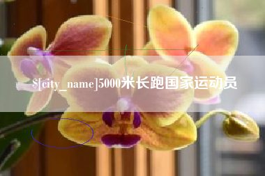 永春5000米长跑国家运动员