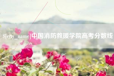 永春中国消防救援学院高考分数线