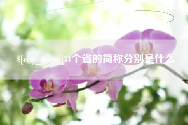 永春34个省的简称分别是什么