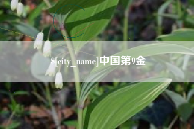 永春中国第9金