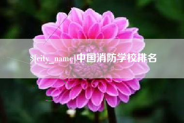 永春中国消防学校排名