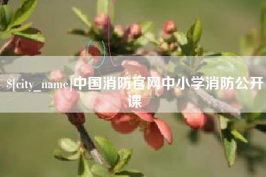 永春中国消防官网中小学消防公开课