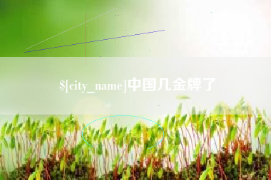 永春中国几金牌了