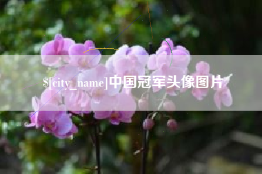 永春中国冠军头像图片