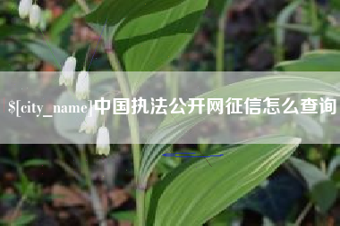 永春中国执法公开网征信怎么查询