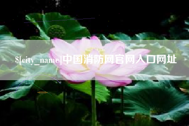 永春中国消防网官网入口网址