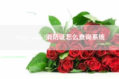 永春消防证怎么查询系统