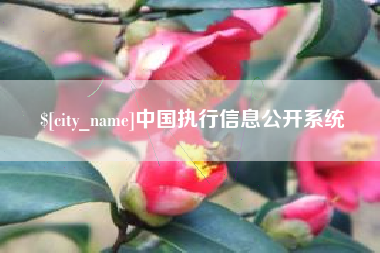 永春中国执行信息公开系统