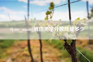 永春消防大学分数线是多少