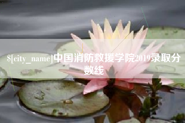 永春中国消防救援学院2019录取分数线