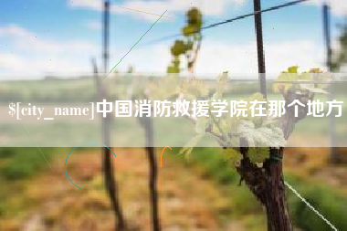永春中国消防救援学院在那个地方