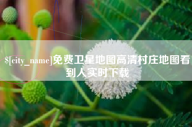 永春免费卫星地图高清村庄地图看到人实时下载