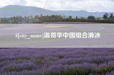 永春温哥华中国组合滑冰