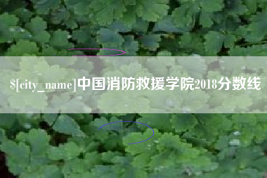 永春中国消防救援学院2018分数线