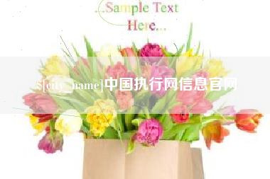永春中国执行网信息官网