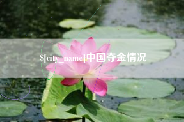 永春中国夺金情况