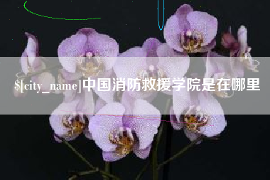 永春中国消防救援学院是在哪里