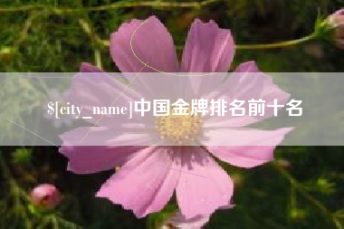 永春中国金牌排名前十名