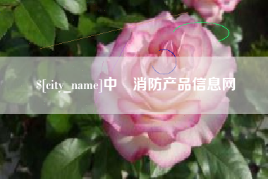 永春中囯消防产品信息网