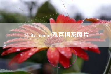 永春九宫格龙图片