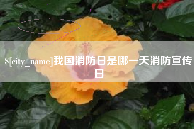 永春我国消防日是哪一天消防宣传日