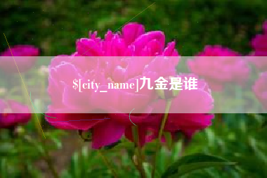 永春九金是谁