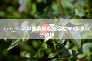 永春中国消防救援学院2019年录取分数线