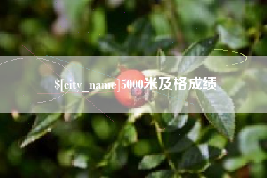永春5000米及格成绩
