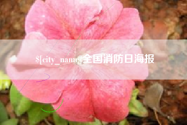 永春全国消防日海报