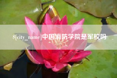 永春中国消防学院是军校吗