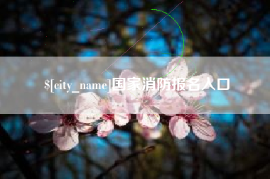永春国家消防报名入口