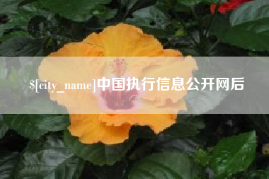 永春中国执行信息公开网后