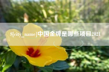 永春中国金牌是哪些项目2021