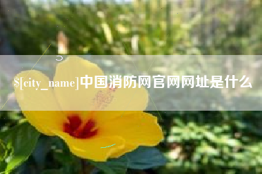 永春中国消防网官网网址是什么