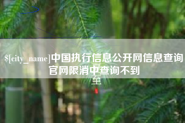 永春中国执行信息公开网信息查询官网限消中查询不到