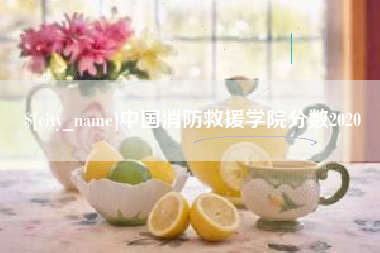 永春中国消防救援学院分数2020