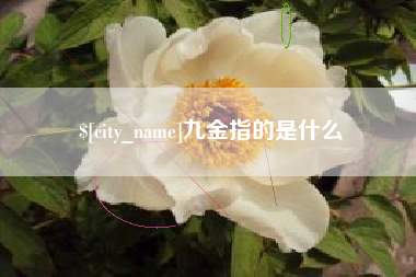 永春九金指的是什么