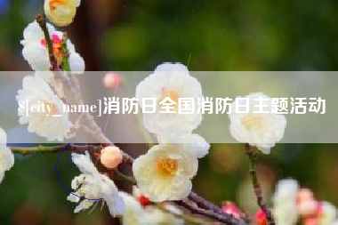 永春消防日全国消防日主题活动