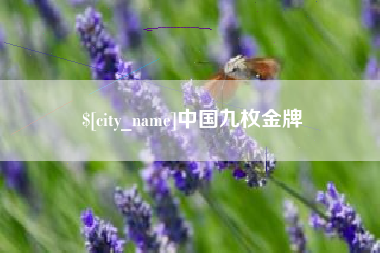永春中国九枚金牌