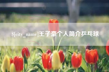 永春王子豪个人简介乒乓球