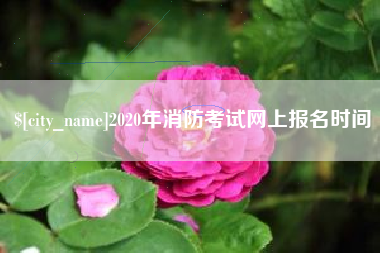 永春2020年消防考试网上报名时间