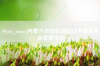 永春内蒙古自治区消防技术服务执业管理平台