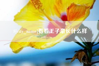 永春看看王子豪长什么样