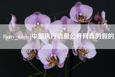 永春中国执行信息公开网真的假的