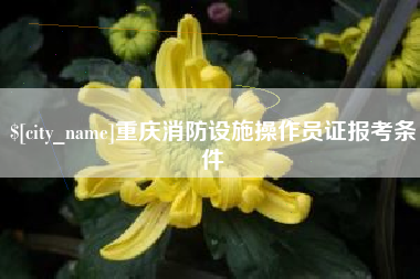 永春重庆消防设施操作员证报考条件
